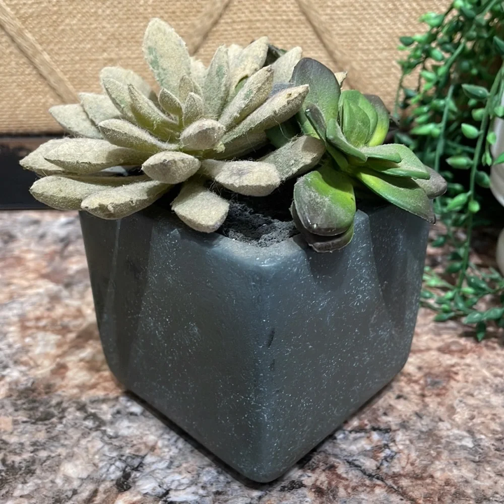 Faux succulents